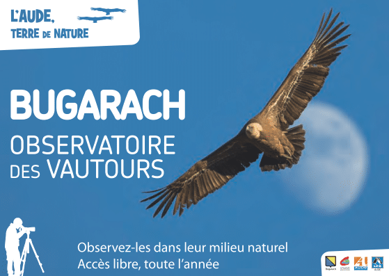 carte postale Observatoire des vautours à Bugarach
